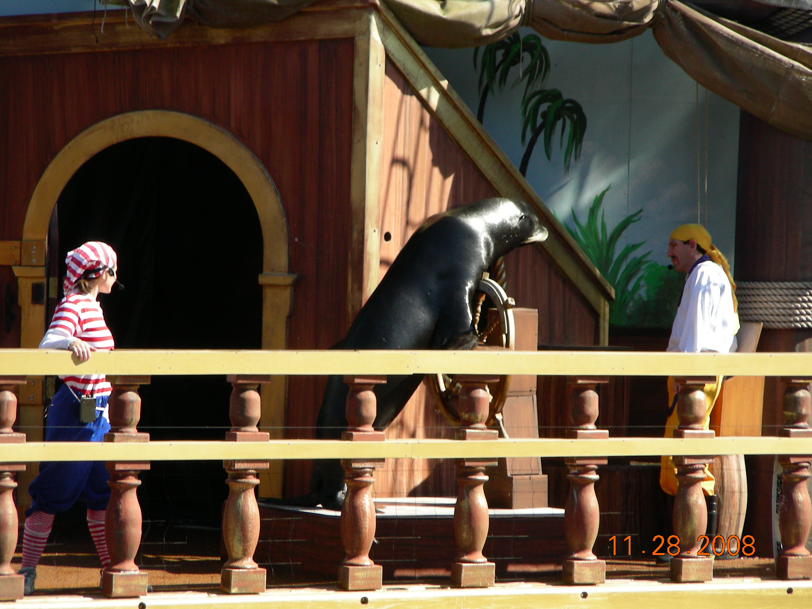 ./2008/Thanksgiving/Sea World/DSCN4610.JPG